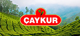 Çaykur